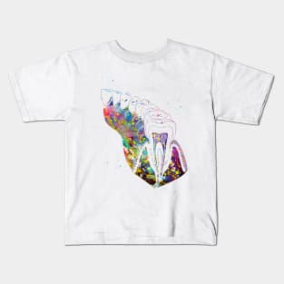 Molar Tooth Section Kids T-Shirt